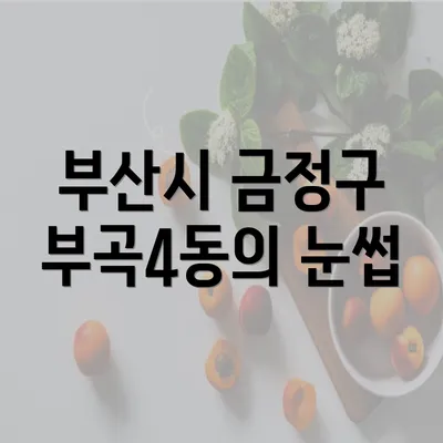 부산시 금정구 부곡4동의 눈썹