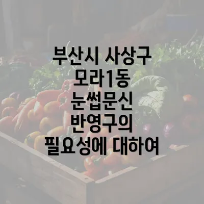 부산시 사상구 모라1동 눈썹문신 반영구의 필요성에 대하여