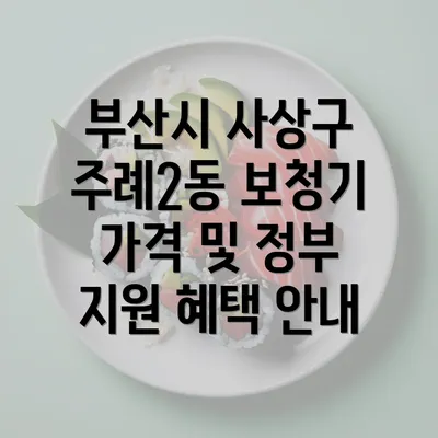 부산시 사상구 주례2동 보청기 가격 및 정부 지원 혜택 안내