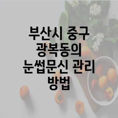 부산시 중구 광복동의 눈썹문신 관리 방법