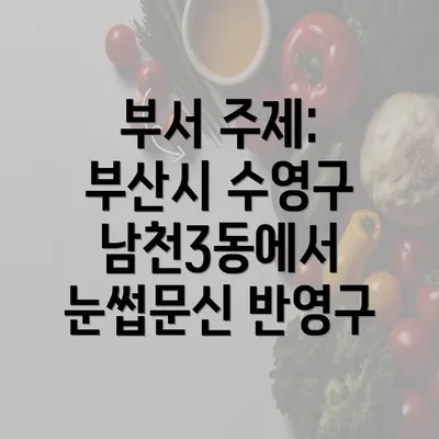 부서 주제: 부산시 수영구 남천3동에서 눈썹문신 반영구