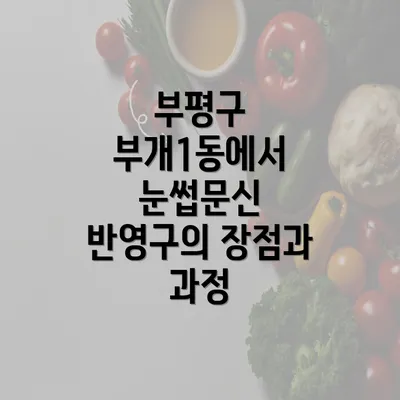 부평구 부개1동에서 눈썹문신 반영구의 장점과 과정