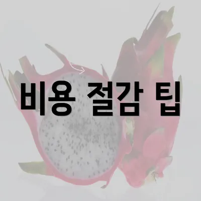 비용 절감 팁