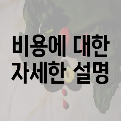 비용에 대한 자세한 설명