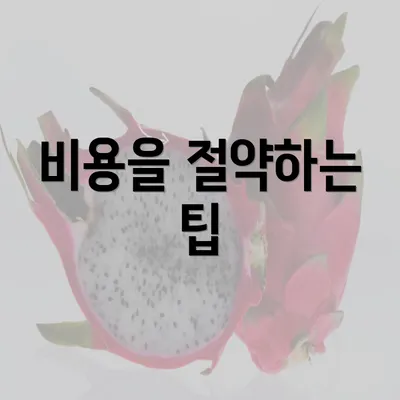 비용을 절약하는 팁