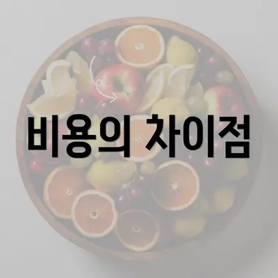 비용의 차이점