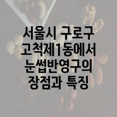 서울시 구로구 고척제1동에서 눈썹반영구의 장점과 특징