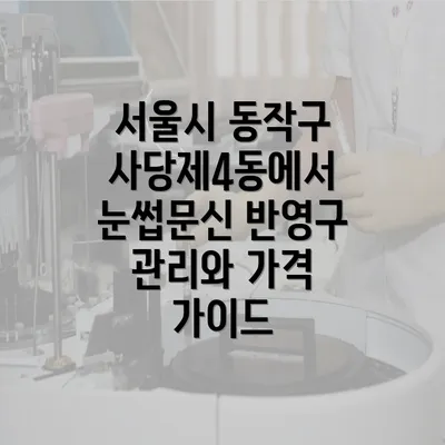 서울시 동작구 사당제4동에서 눈썹문신 반영구 관리와 가격 가이드