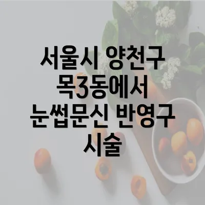 서울시 양천구 목3동에서 눈썹문신 반영구 시술