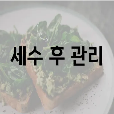 세수 후 관리