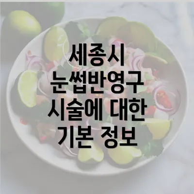 세종시 눈썹반영구 시술에 대한 기본 정보