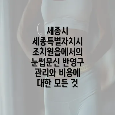 세종시 세종특별자치시 조치원읍 눈썹문신의 종류