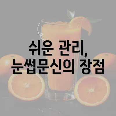 쉬운 관리, 눈썹문신의 장점