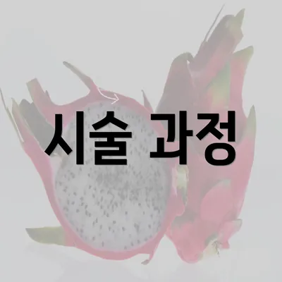 시술 과정