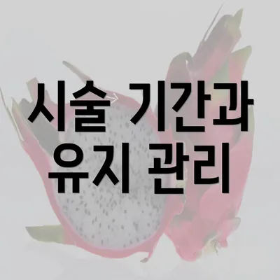 시술 기간과 유지 관리