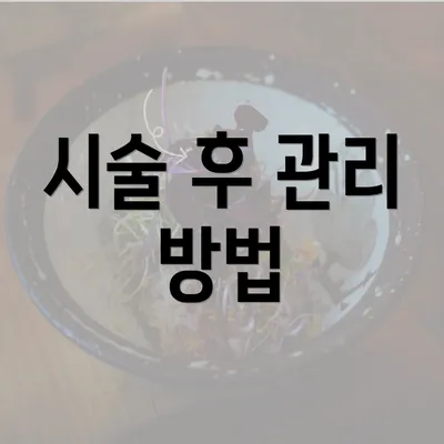 시술 후 관리 방법