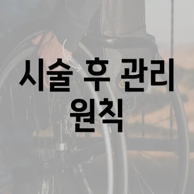 시술 후 관리 원칙