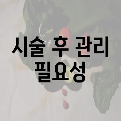 시술 후 관리 필요성