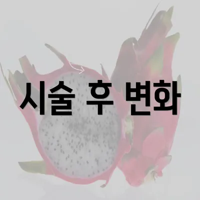 시술 후 변화