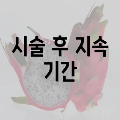 시술 후 지속 기간