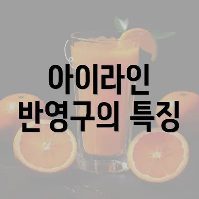 아이라인 반영구의 특징