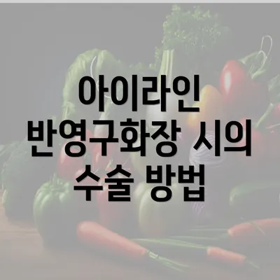 아이라인 반영구화장 시의 수술 방법