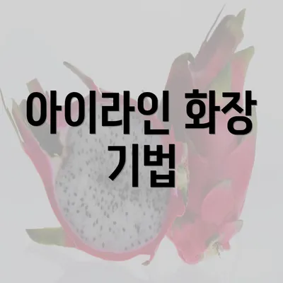 아이라인 화장 기법