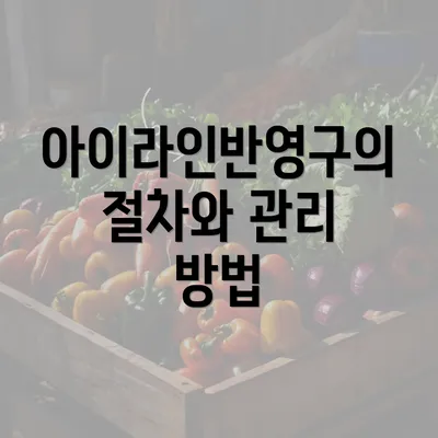 아이라인반영구의 절차와 관리 방법