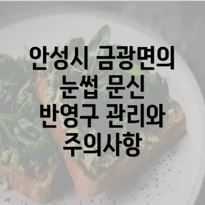 안성시 금광면의 눈썹 문신 반영구 관리와 주의사항