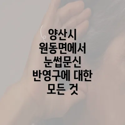 양산시 원동면에서 눈썹문신 반영구에 대한 모든 것