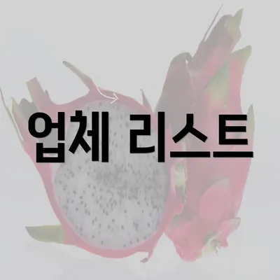 업체 리스트