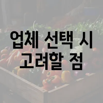 업체 선택 시 고려할 점