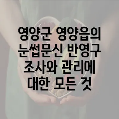 영양군 영양읍의 눈썹문신 반영구 조사와 관리에 대한 모든 것