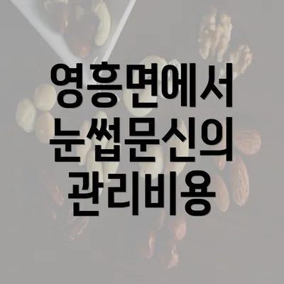 영흥면에서 눈썹문신의 관리비용