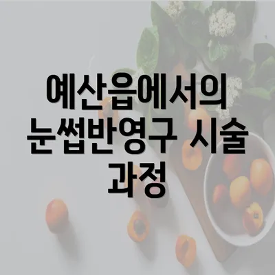 예산읍에서의 눈썹반영구 시술 과정