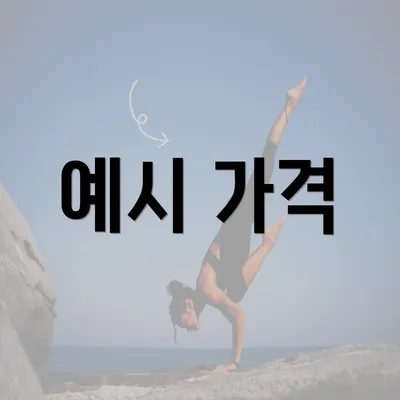 예시 가격