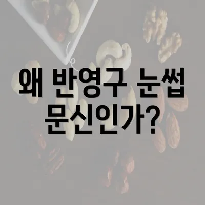 왜 반영구 눈썹 문신인가?