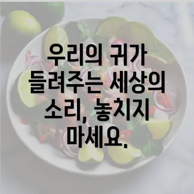 우리의 귀가 들려주는 세상의 소리, 놓치지 마세요.