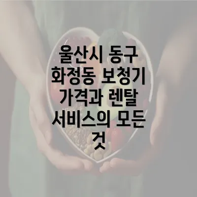 울산시 동구 화정동 보청기 가격과 렌탈 서비스의 모든 것