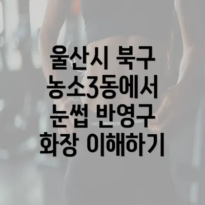 울산시 북구 농소3동에서 눈썹 반영구 화장 이해하기