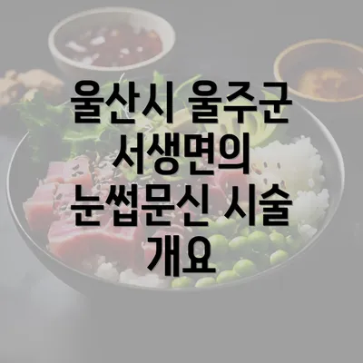 울산시 울주군 서생면의 눈썹문신 시술 개요