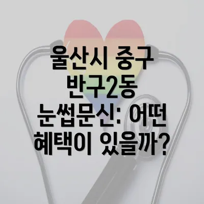 울산시 중구 반구2동 눈썹문신: 어떤 혜택이 있을까?