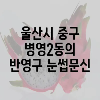 울산시 중구 병영2동의 반영구 눈썹문신