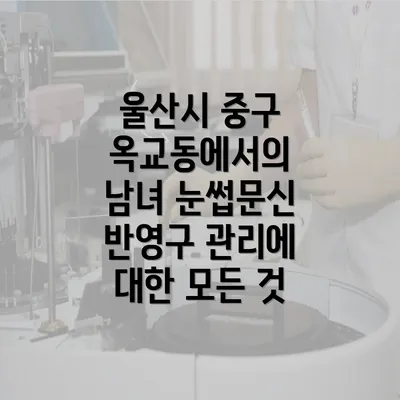 울산시 중구 옥교동에서의 남녀 눈썹문신 반영구 관리에 대한 모든 것