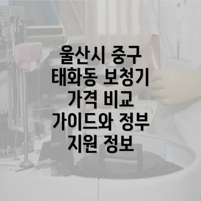 울산시 중구 태화동 보청기 가격 비교 가이드와 정부 지원 정보