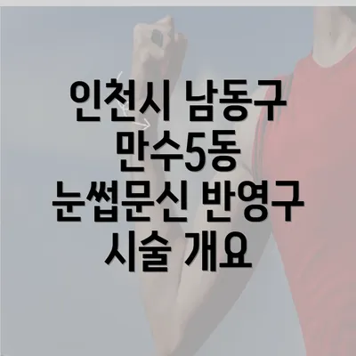 인천시 남동구 만수5동 눈썹문신 반영구 시술 개요