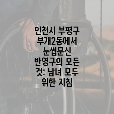 인천시 부평구 부개2동에서 눈썹문신 반영구의 모든 것: 남녀 모두 위한 지침