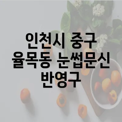 인천시 중구 율목동 눈썹문신 반영구