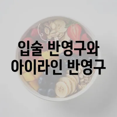 입술 반영구와 아이라인 반영구