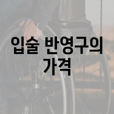 입술 반영구의 가격